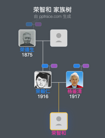 荣智和 家族树全览