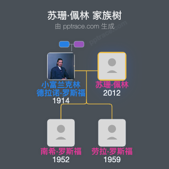 苏珊·佩林家族树全览