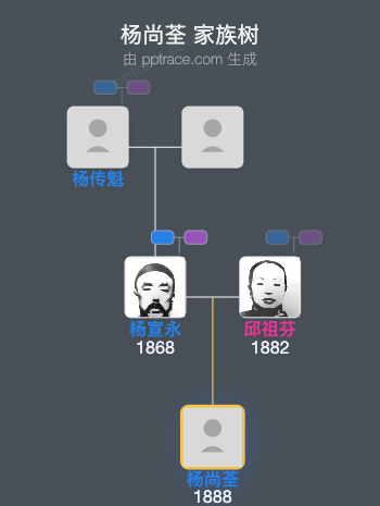 杨尚荃 家族树全览