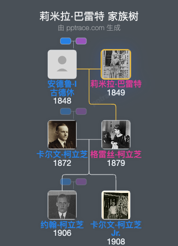 莉米拉·巴雷特家族树全览