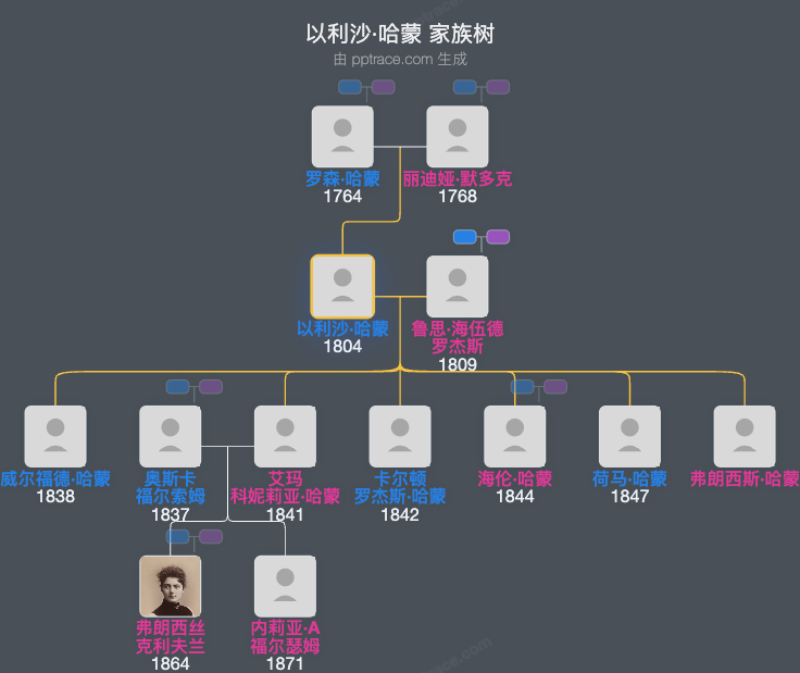 以利沙·哈蒙家族树全览