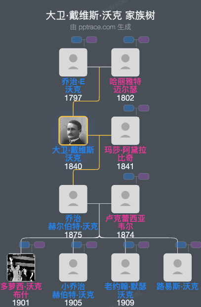 大卫·戴维斯·沃克家族树全览