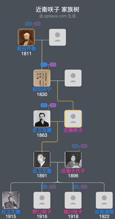 近衛咲子家族树全览