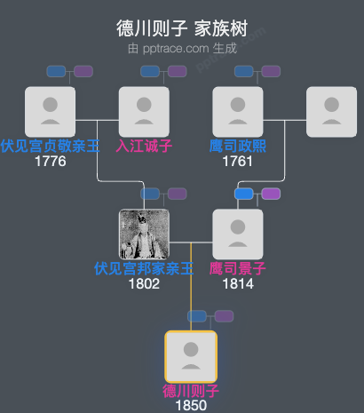 德川则子家族树全览