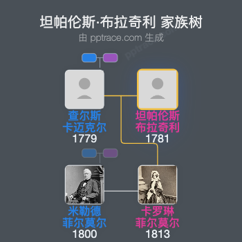 坦帕伦斯·布拉奇利家族树全览