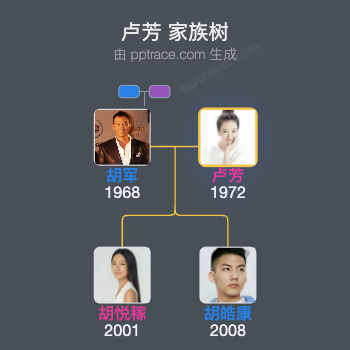 卢芳 家族树全览