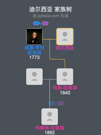 迪尔西亚家族树全览