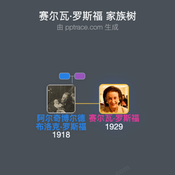 赛尔瓦·罗斯福家族树全览