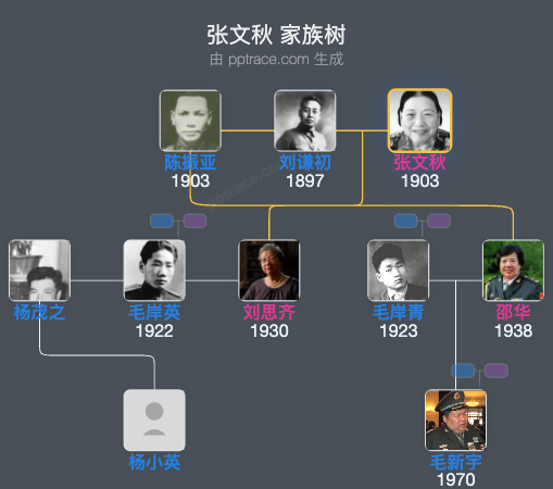张文秋 家族树全览