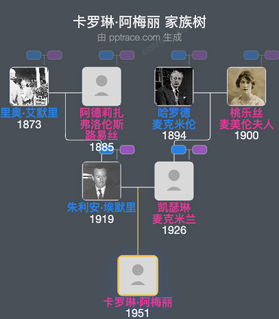 卡罗琳·阿梅丽家族树全览