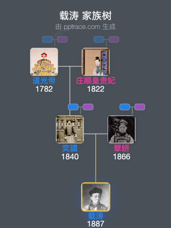 载涛家族树全览