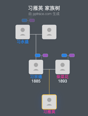 习雁英 家族树全览