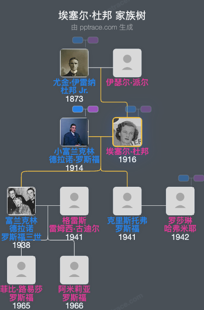 埃塞尔·杜邦家族树全览