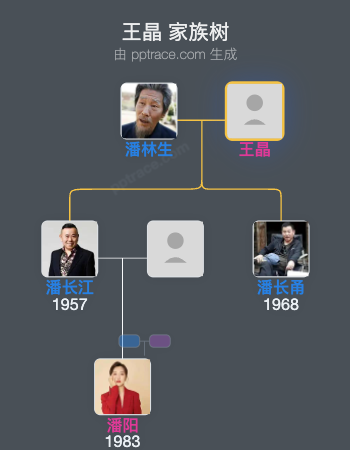 王晶 家族树全览