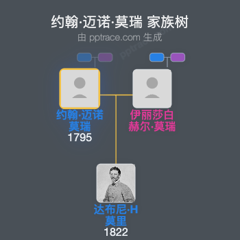 约翰·迈诺·莫瑞家族树全览