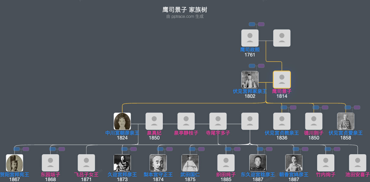 鹰司景子家族树全览