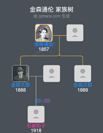金森通伦家族树全览