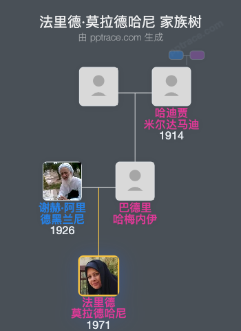法里德·莫拉德哈尼家族树全览