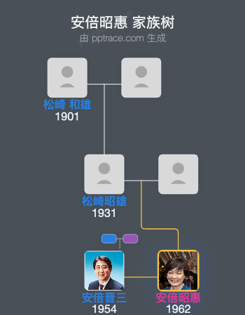 安倍昭惠家族树全览