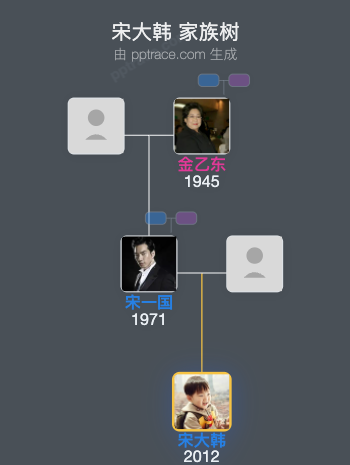 宋大韩 家族树全览