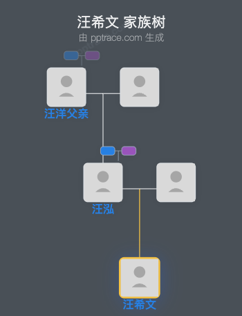 汪希文 家族树全览
