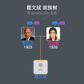 霍文斌 家族树全览