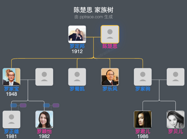 陈楚思 家族树全览