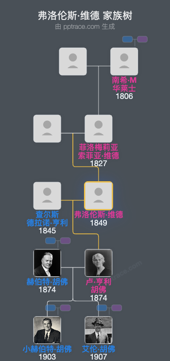 弗洛伦斯·维德家族树全览
