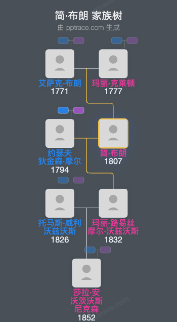 简·布朗家族树全览