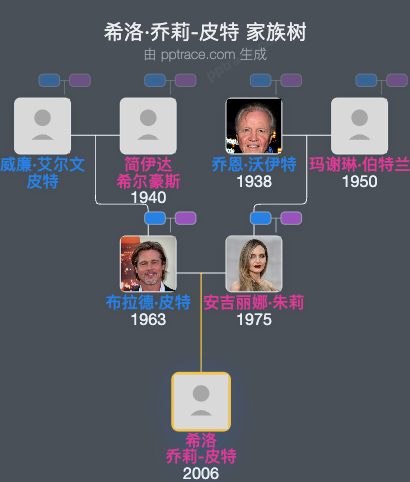 希洛·乔莉-皮特 家族树全览