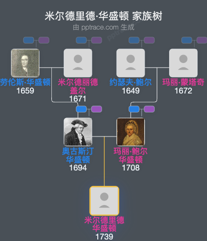 米尔德里德·华盛顿家族树全览