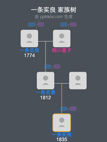 一条实良家族树全览