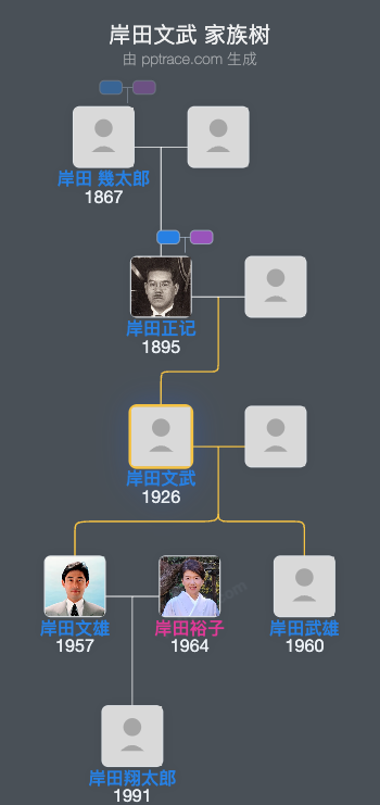 岸田文武家族树全览