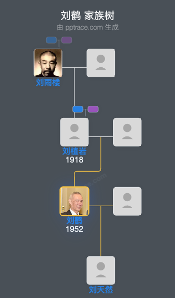 刘鹤 家族树全览