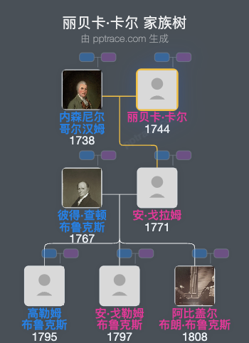 丽贝卡·卡尔家族树全览