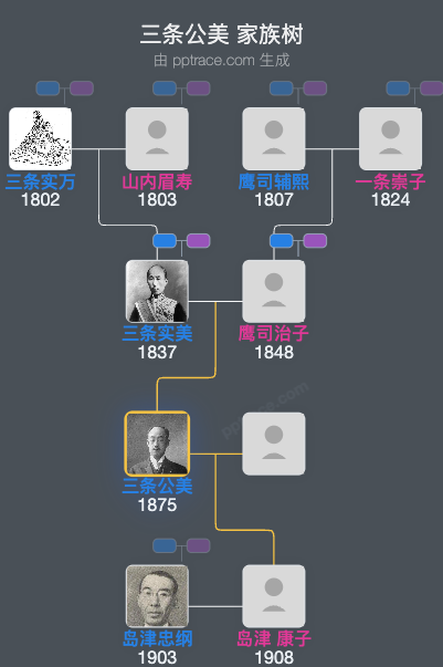 三条公美家族树全览