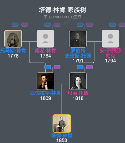 塔德·林肯家族树全览