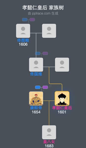 孝懿仁皇后家族树全览