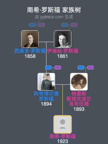南希·罗斯福家族树全览