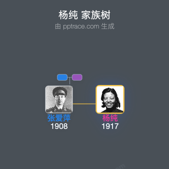 杨纯 家族树全览