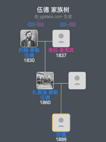 伍德家族树全览