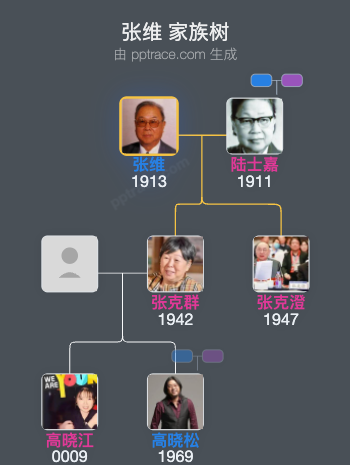 张维 家族树全览