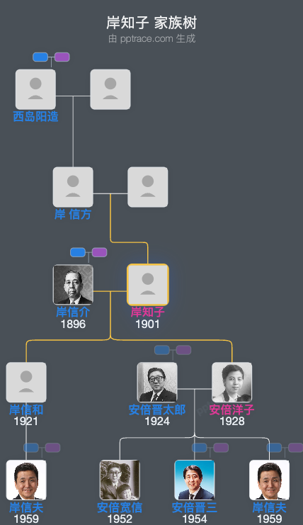 岸知子家族树全览