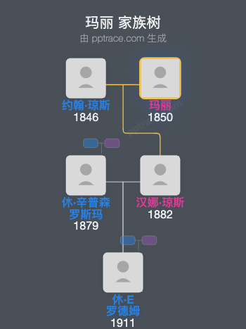 玛丽家族树全览