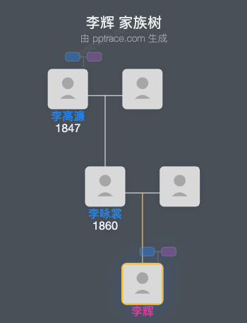 李辉 家族树全览