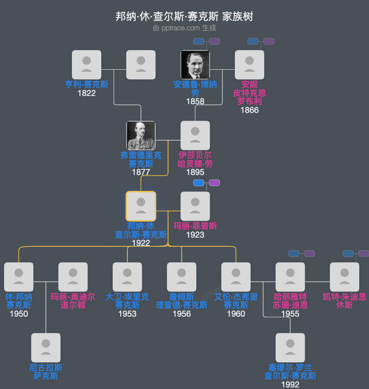 邦纳·休·查尔斯·赛克斯家族树全览