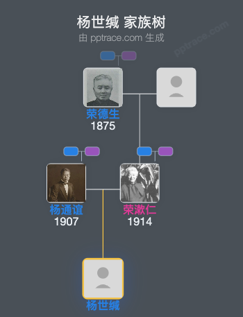 杨世缄 家族树全览