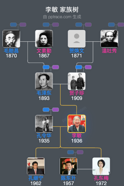 李敏 家族树全览