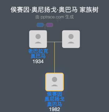 侯赛因·奥尼扬戈·奥巴马 家族树全览