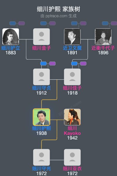 细川护熙家族树全览